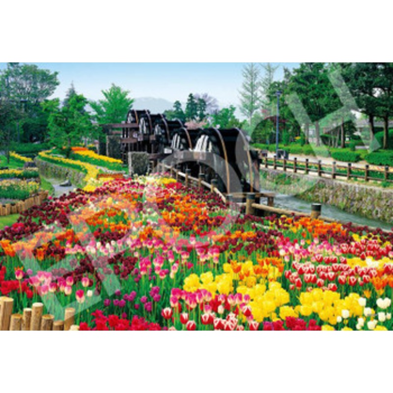 Epoch 31-039 Jigsaw Puzzle Waterwheels and Flower Park in Toyama Japan (1053 S-Pieces)
