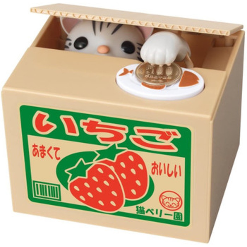 Shine New Trick Bank American Shorthair Cat