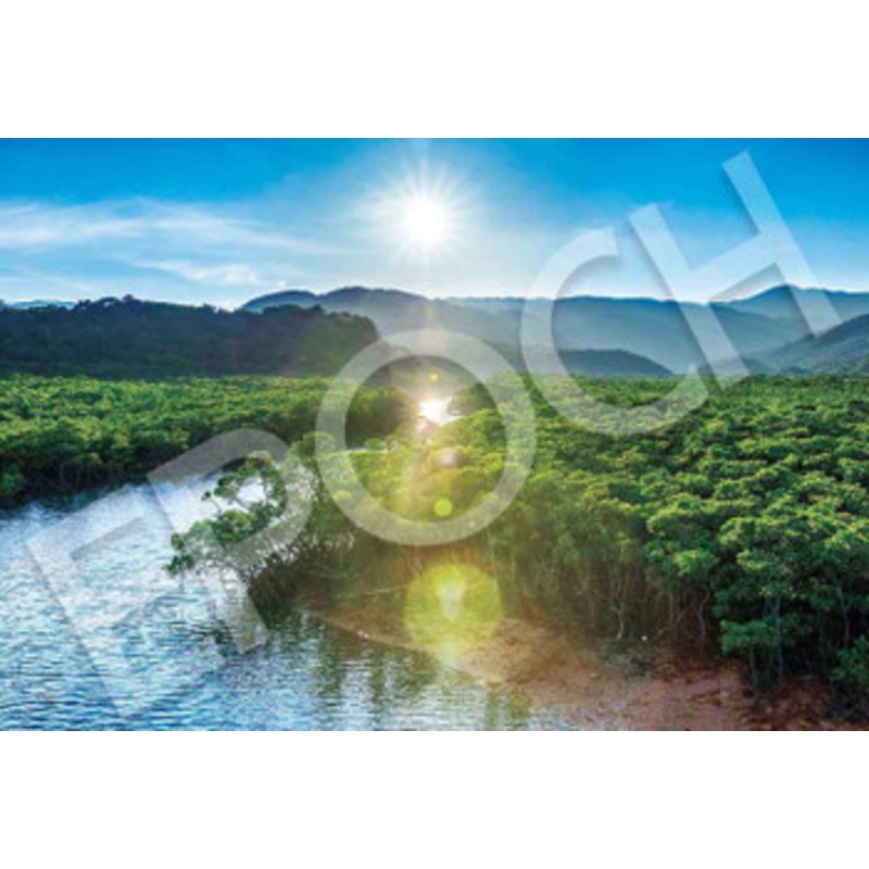 Epoch 26-361s Jigsaw Puzzle Iriomote-jima World Heritage Site Japan (300 Pieces)