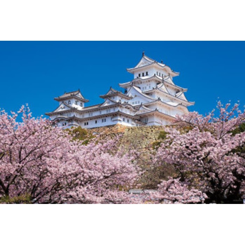 Yanoman 10-1411 Jigsaw Puzzle 1000 Cherry Blossoms and Himeji Castle in Hyogo Japan (1000 Pieces)