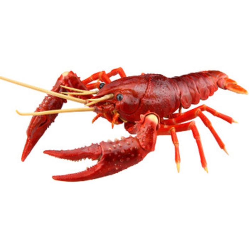 Fujimi Research Series Procambarus Clarkii / Louisiana Crawfish (Red) Plastic Model