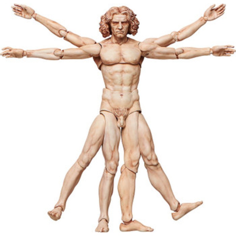 FREEing figma Vitruvian Man (The Table Museum)