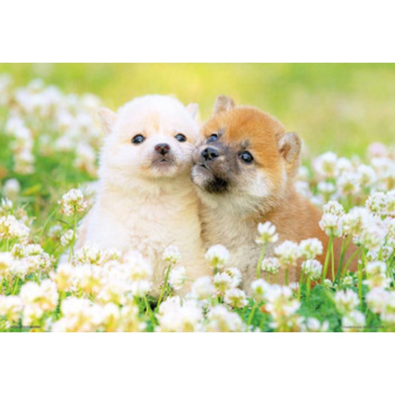 Beverly P33-205 Jigsaw Puzzle Puppy Love (300 Pieces)