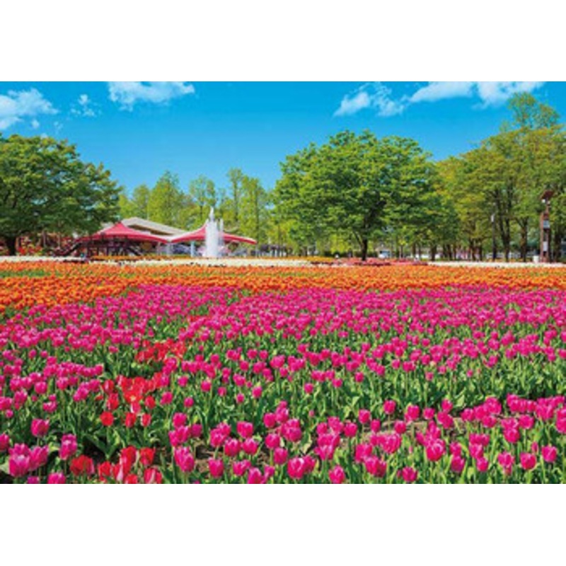 Appleone 500-290 Jigsaw Puzzle Tonami Tulip Park (500 Pieces)