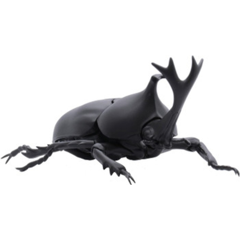 Fujimi Research Series Japanese Rhinoceros Beetle Plastic Model