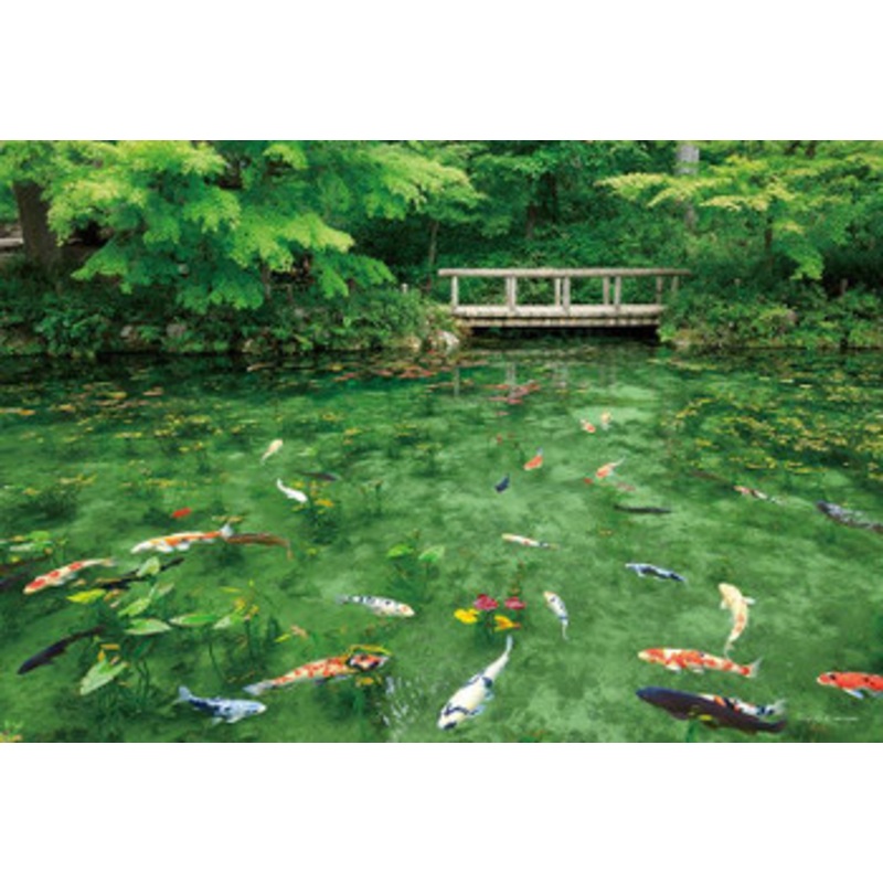 Yanoman 35-27 Jigsaw Puzzle Colorful Koi Fish in Monet’s Pond in Gifu Japan (500 S-Pieces)