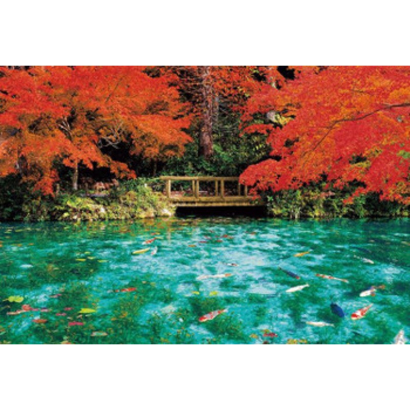Beverly 33-214 Jigsaw Puzzle Monet’s Pond in Autumn Colors (300 Pieces)