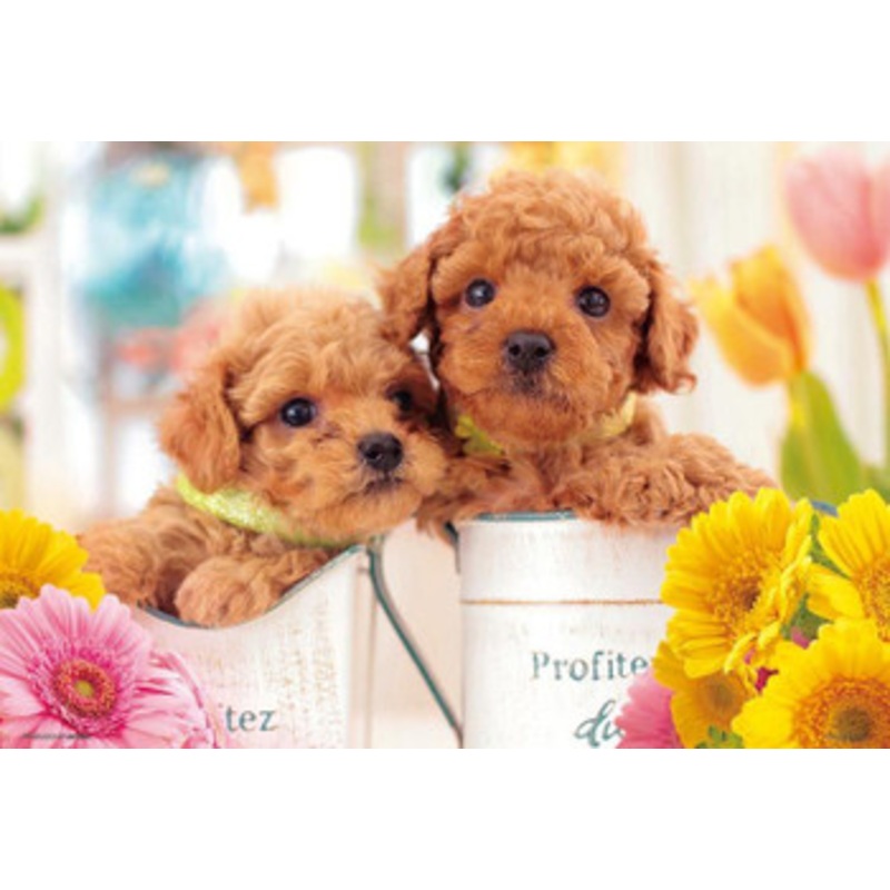 Beverly 500S-008 Jigsaw Puzzle Puppies in Pots (500 S-Pieces)