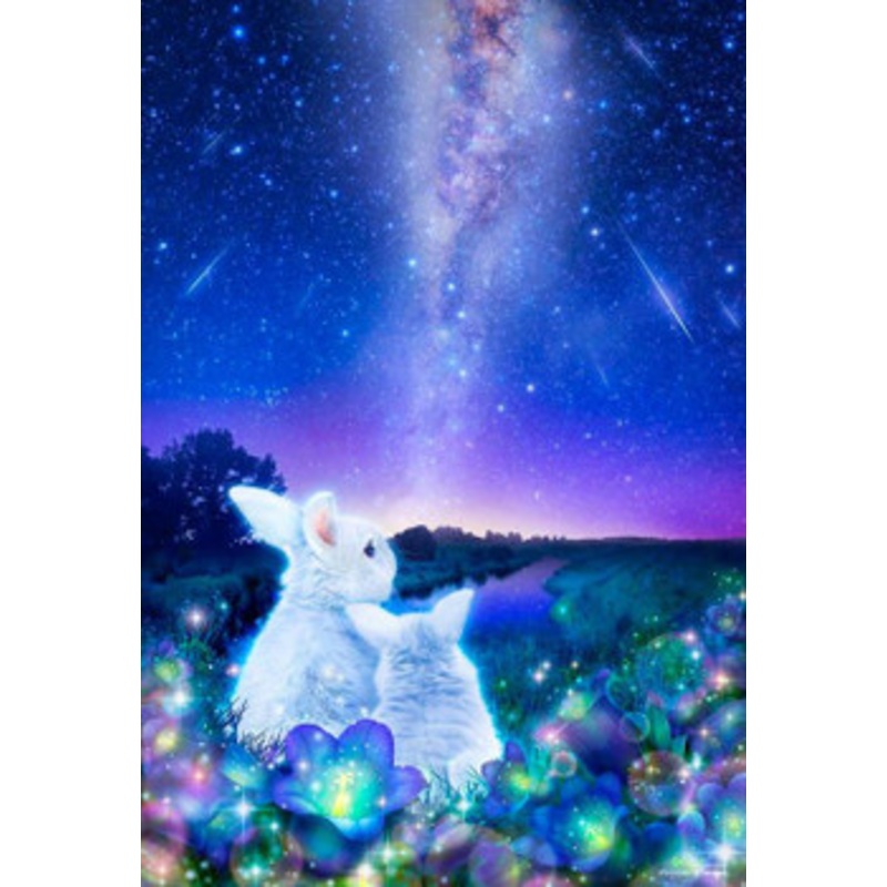 Beverly 1000M-001 Jigsaw Puzzle Bunnies Under the Night Stars (1000 S-Pieces)