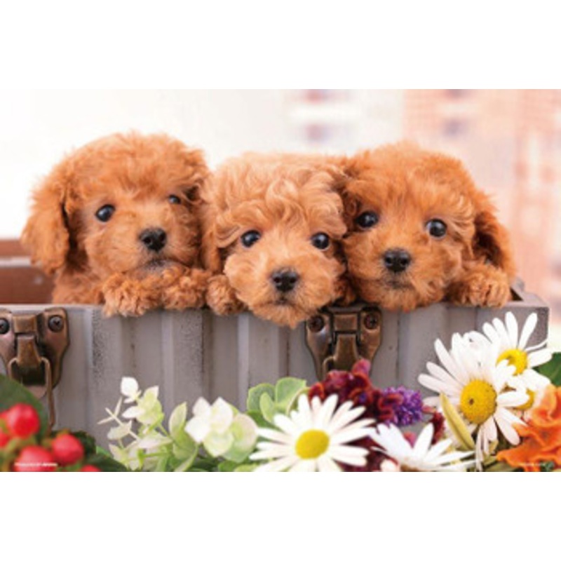Beverly P33-213 Jigsaw Puzzle Puppies All Together (300 Pieces)