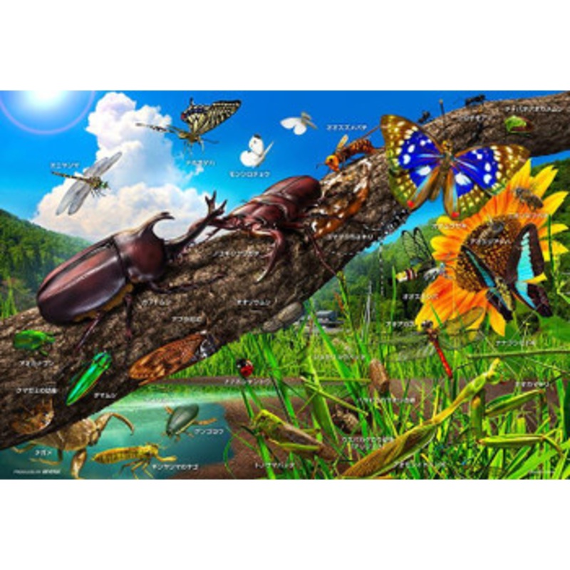 Beverly 100-034 Jigsaw Puzzle Let’s Learn Insects in Japanese (100 L-Pieces) (Child Puzzle)