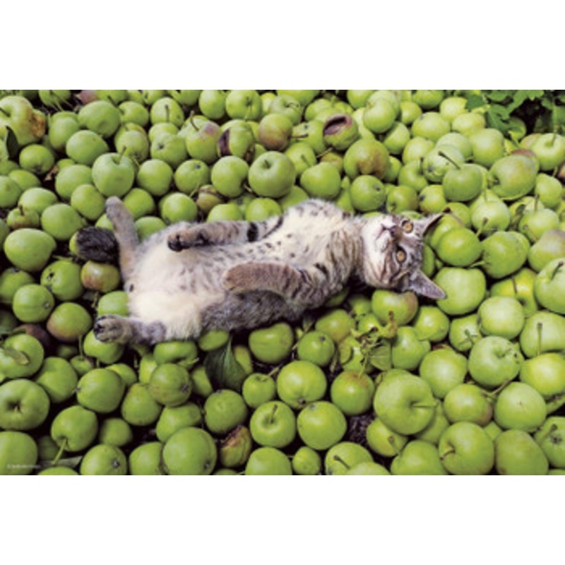 Apollo-sha Jigsaw Puzzle Cat (300 Pieces)