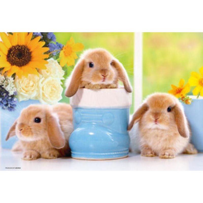 Beverly 300-002 Jigsaw Puzzle Bunnies in a Sunny Spot (300 Pieces)