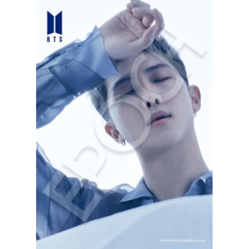 Epoch 41-308 Jigsaw Puzzle BTS (Bangtan Boys) Proof RM (108 Pieces)
