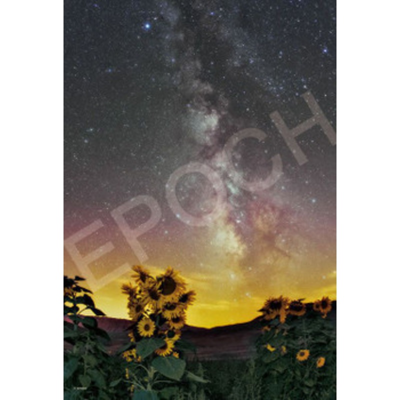 Epoch 79-486 Jigsaw Puzzle Sunflowers Under the Milky Way (1053 S-Pieces)