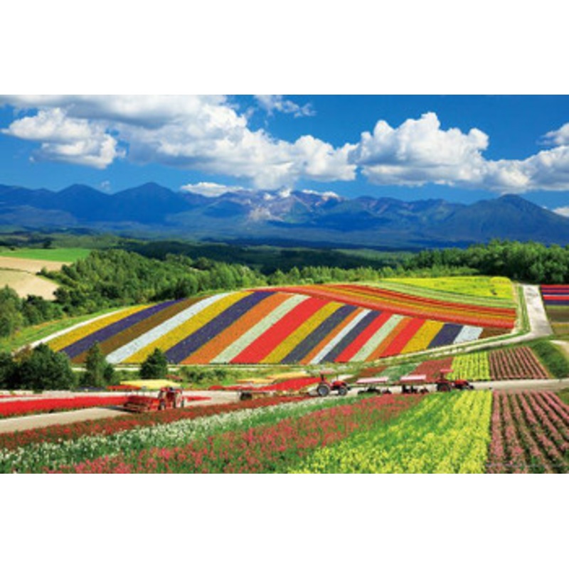 Yanoman 10-1422 Jigsaw Puzzle Shikisai no Oka and Tokachidake Mountain Range Hokkaido Japan (1000 Pieces)