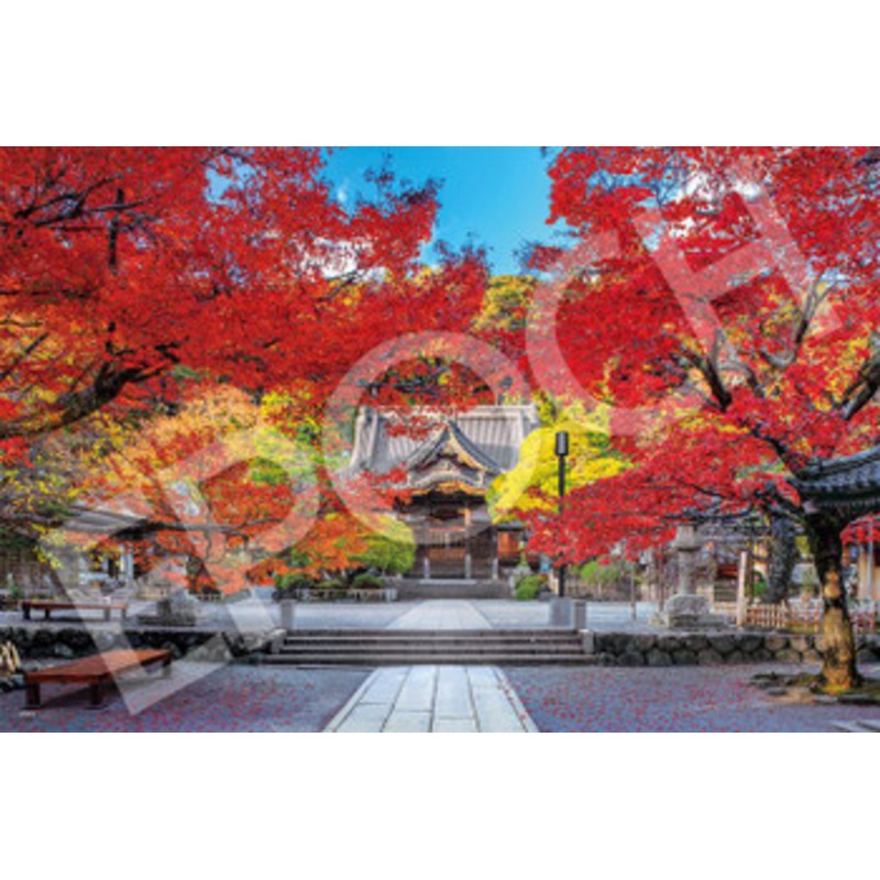 Epoch 09-024s Jigsaw Puzzle Beautiful Autumn at Shuzenji Temple in Shizuoka Japan (1000 Pieces)
