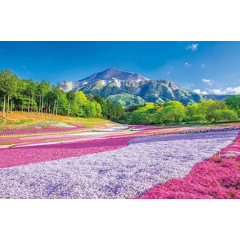 Appleone 1000-883 Jigsaw Puzzle Spring Carpet Hitsujiyama Park (1000 Pieces)
