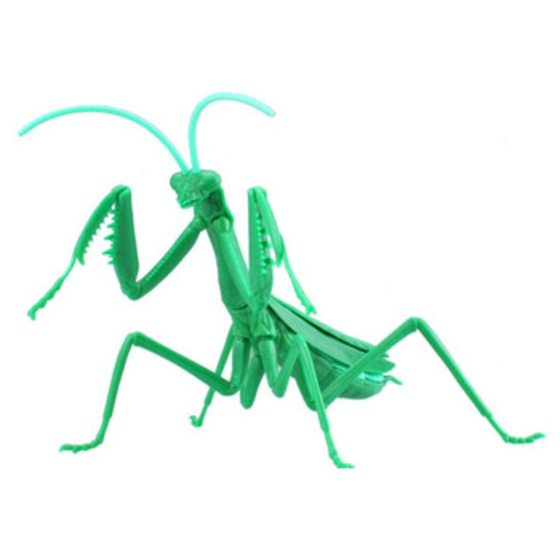 Fujimi Research Series Tenodera Aridifolia Metallic Green (Japanese Giant Mantis) Plastic Model