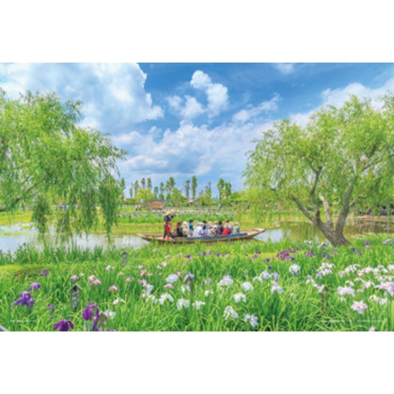 Yanoman 03-939 Jigsaw Puzzle Japanese Iris and Fishing Boat Chiba (300 Pieces)