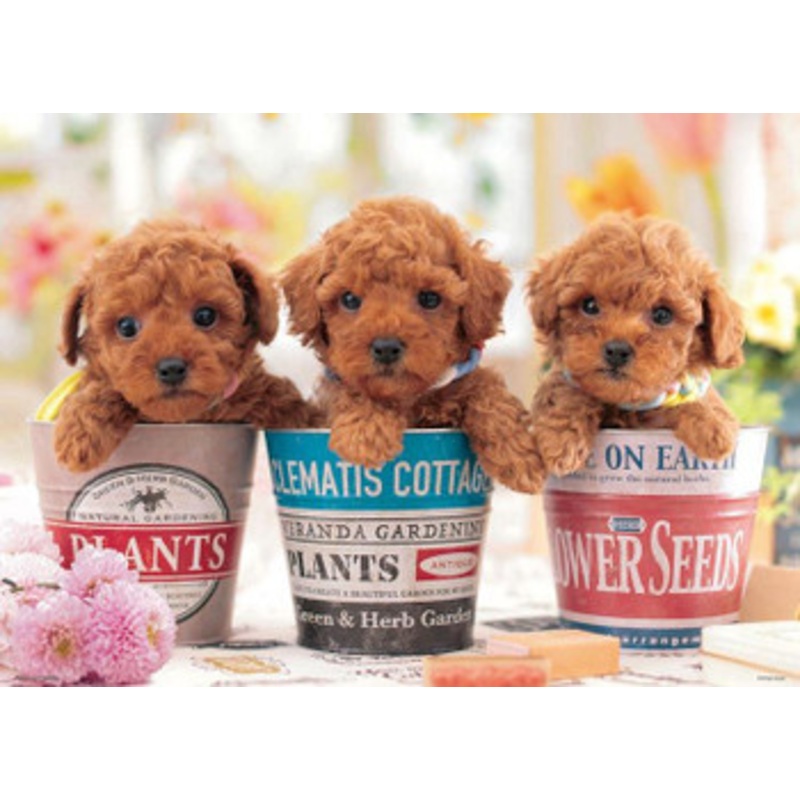 Beverly P66-225 Jigsaw Puzzle Puppies in Planters (600 Pieces)