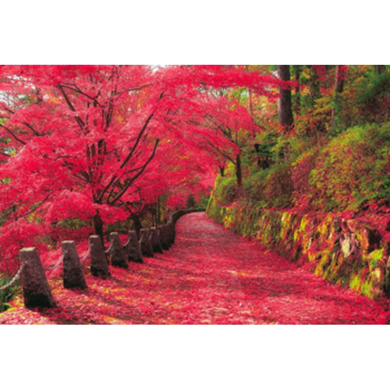 Epoch Jigsaw Puzzle Autumn Leaves Yoshino Mountain In Nara (2016 S-Pieces)