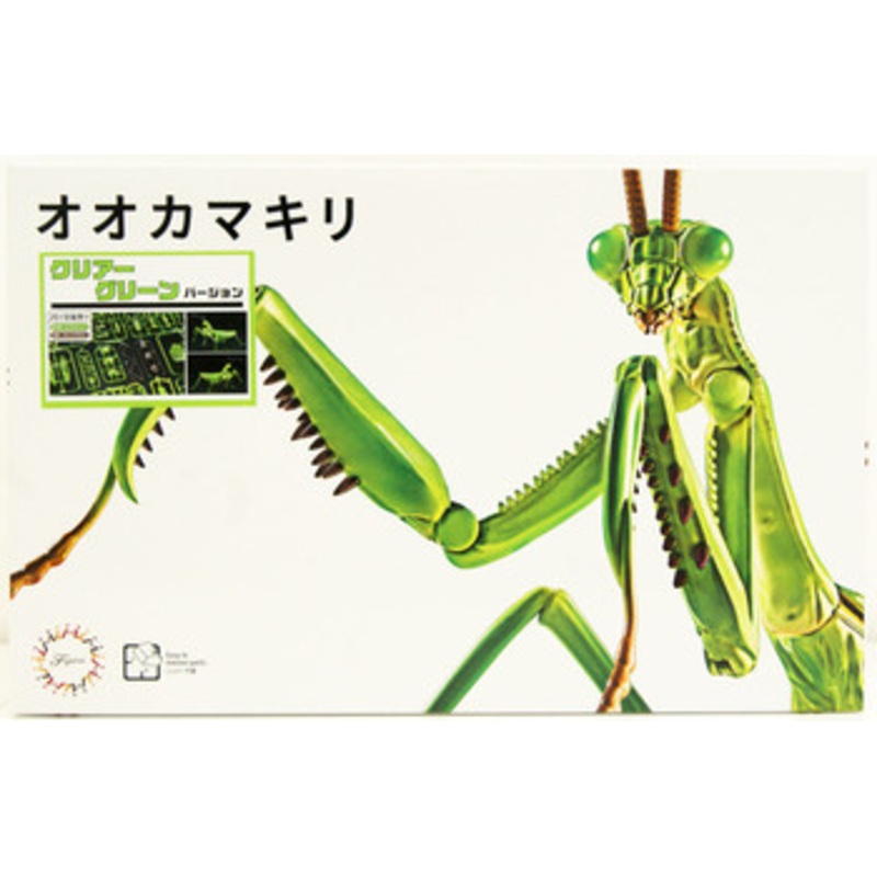Fujimi Research Series Tenodera Aridifolia Clear Green (Japanese Giant Mantis) Special Version Plastic Model