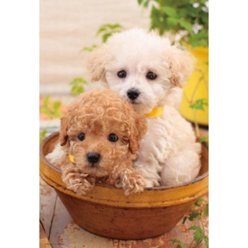 Beverly P33-193 Jigsaw Puzzle Puppies in a Pot (300 Pieces)