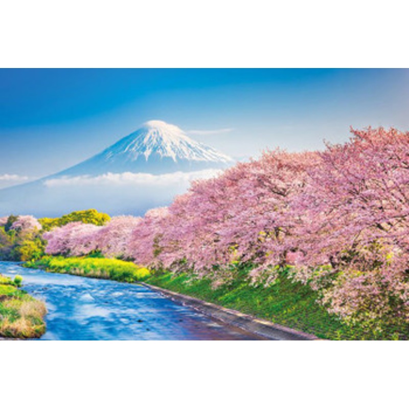 Yanoman 10-1387 Jigsaw Puzzle Mt.Fuji During Cherry Blossom Season (1000 Pieces)