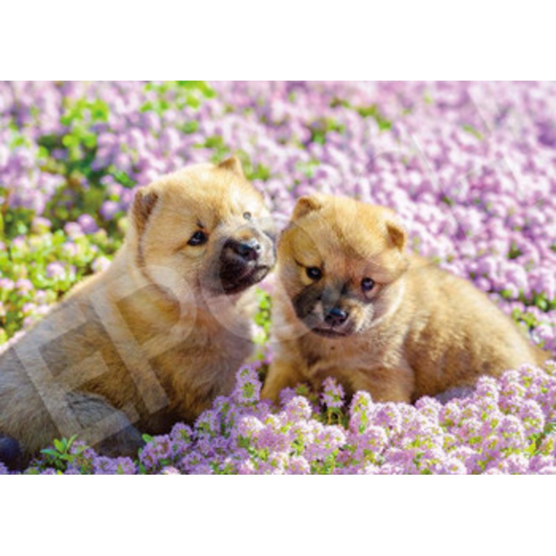 Epoch 01-073 Jigsaw Puzzle Puppies Relaxing in the Garden (108 Pieces)