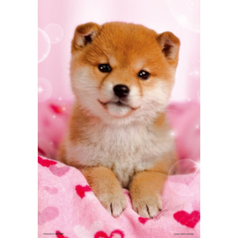 Beverly Jigsaw Puzzle P73-415 I Love You (300 Pieces)