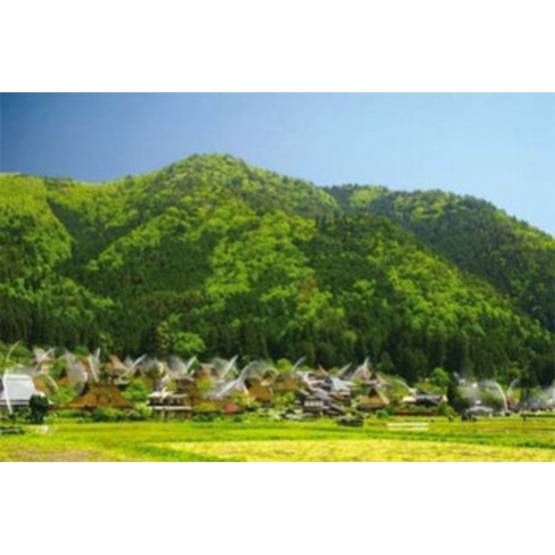 Yanoman Jigsaw Puzzle 10-1115 Thatched village (1000 Pieces)