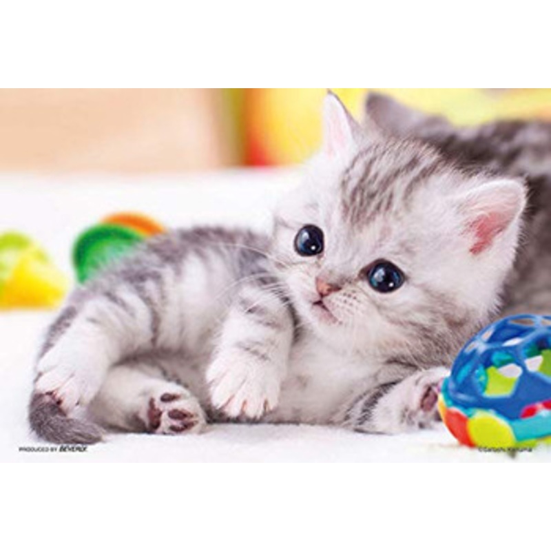 Beverly Jigsaw Puzzle M108-207 Pretty Pet Kitty Cat (108 S-Pieces)