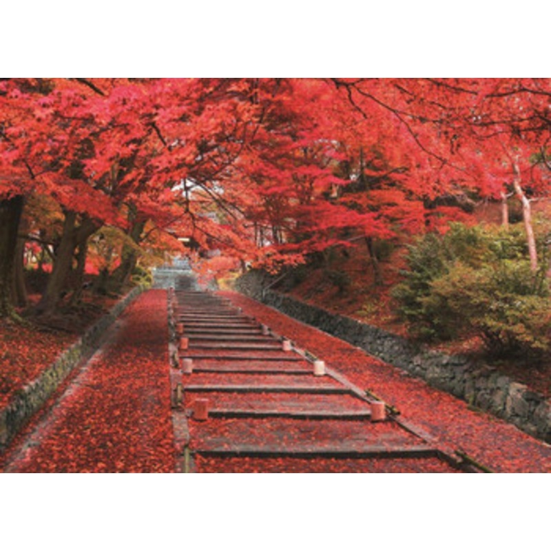 Epoch Jigsaw Puzzle 05-114 Autumn Leaves Bishamondo Temple Kyoto Japan (500 Pieces)