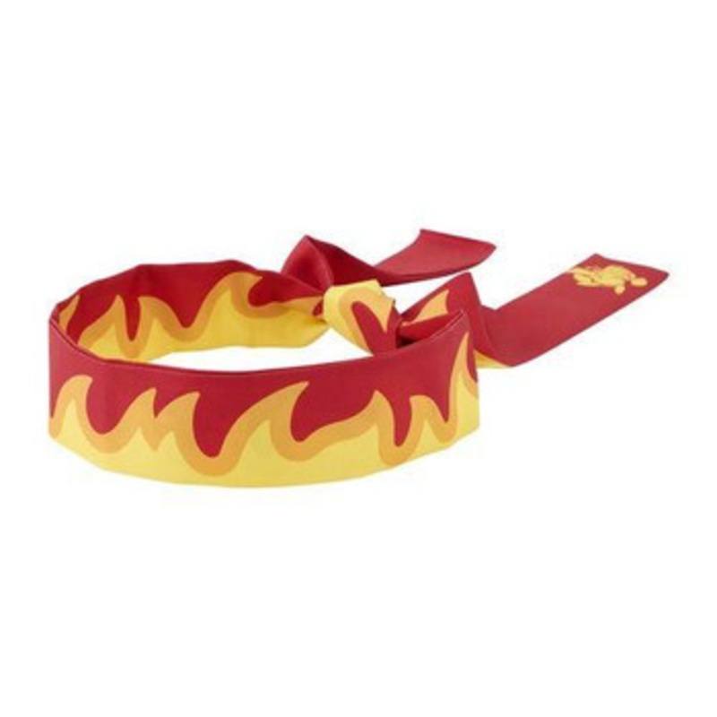 Pokemon Center Original Focus Sash