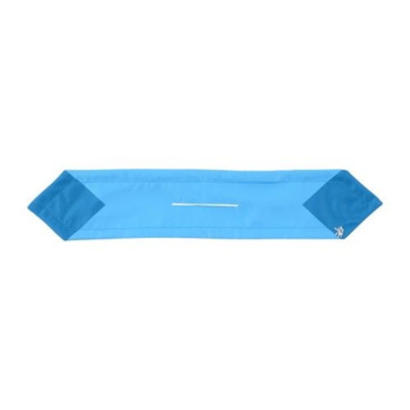 Pokemon Center Original Pokemon Accessory Hair Accessory 80 Glaceon